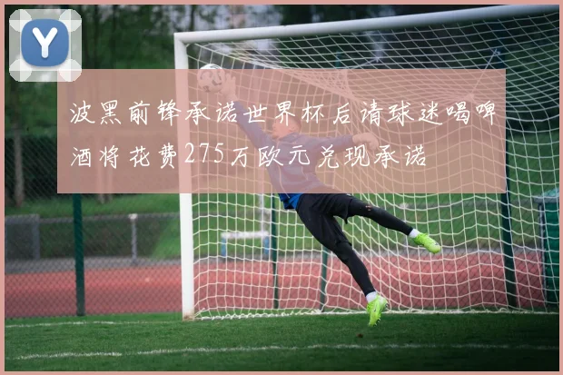 波黑前锋承诺世界杯后请球迷喝啤酒将花费275万欧元兑现承诺