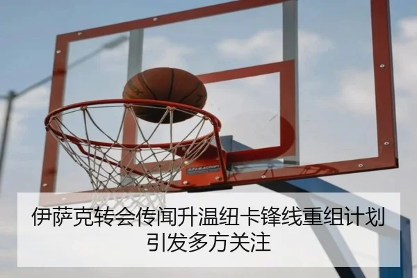 伊萨克转会传闻升温纽卡锋线重组计划引发多方关注